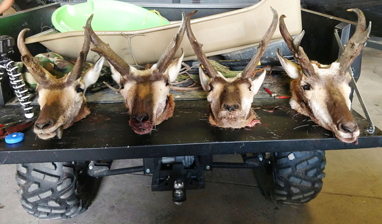 Nexgen Outfitters successful 2019 antelope season