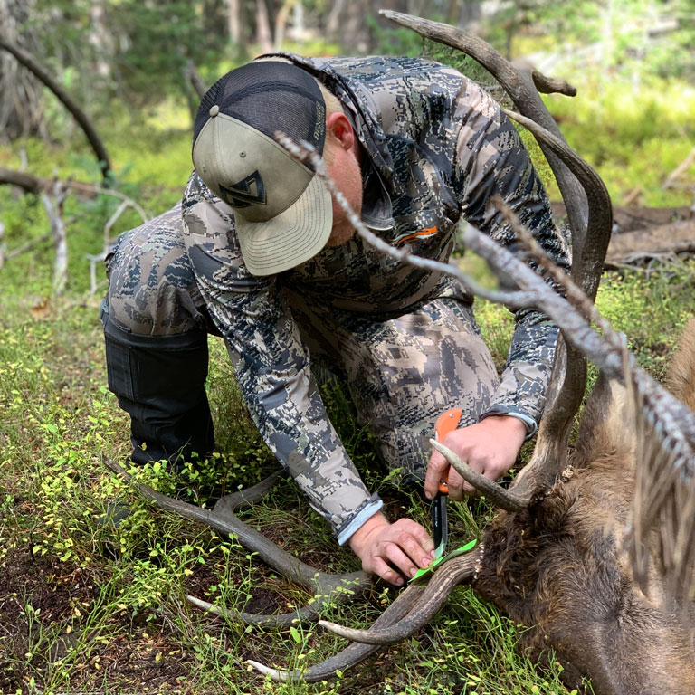 Nexegn Outfitter Quinn notches his archery tag for a bull elk