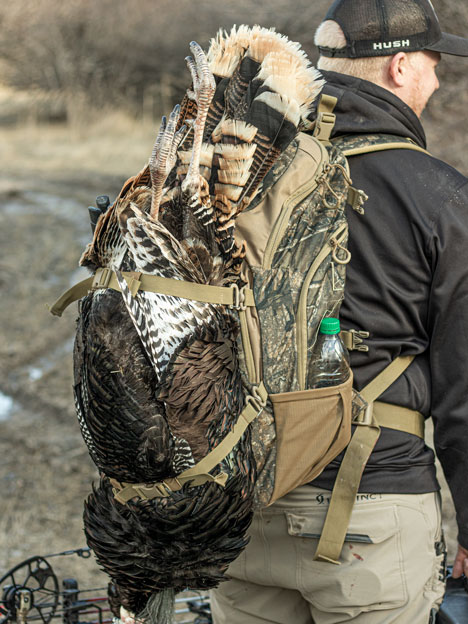 Nexgen Outfitters Whitetail Caddy Reversible Compression Straps Help Pack Out a Turkey